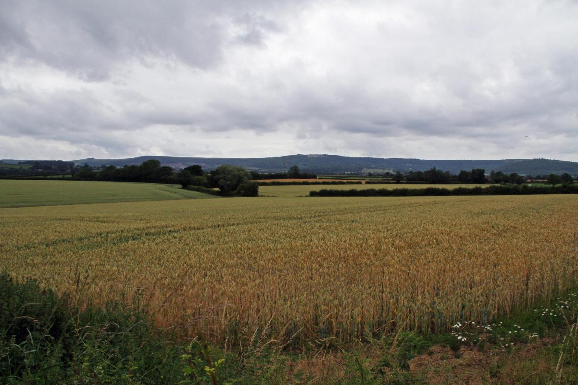 Oyo White Horse Lodge Hotel, East Thirsk Bagby Εξωτερικό φωτογραφία